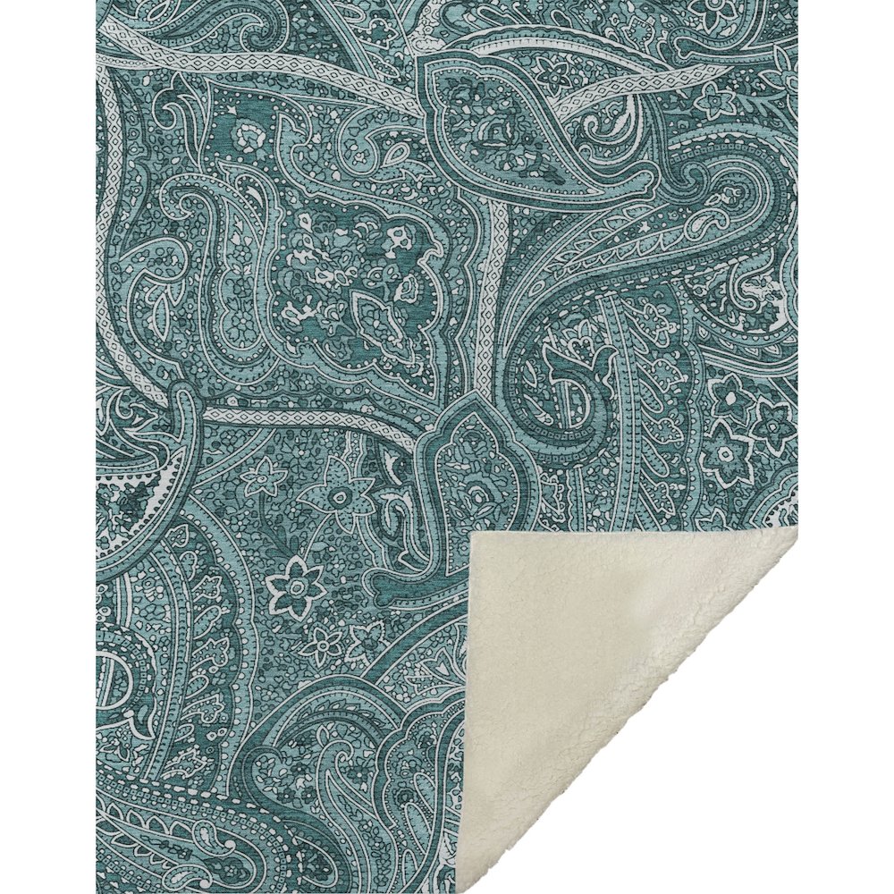 Premium Machine Washable ASB623 Teal 50" x 70" Sherpa Throw Blanket. Picture 1