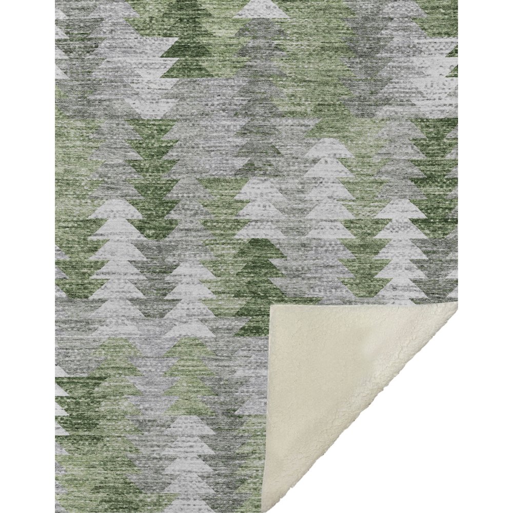Premium Machine Washable ASB632 Green 50" x 70" Sherpa Throw Blanket. Picture 1