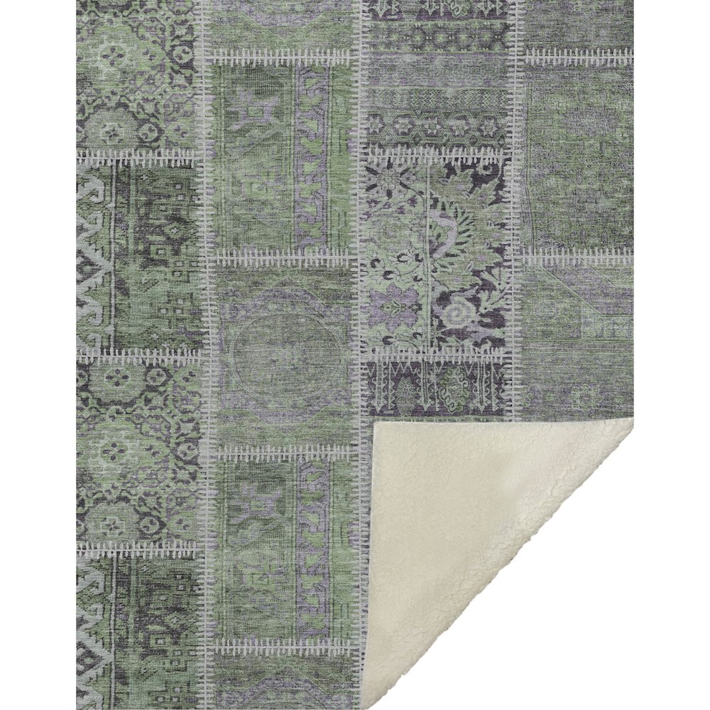 Premium Machine Washable ASB635 Green 50" x 70" Sherpa Throw Blanket. Picture 1