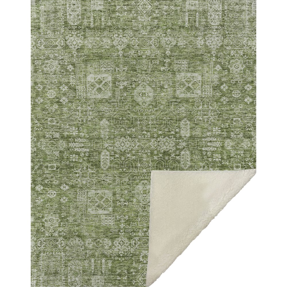 Premium Machine Washable ASB637 Aloe 50" x 70" Sherpa Throw Blanket. Picture 1