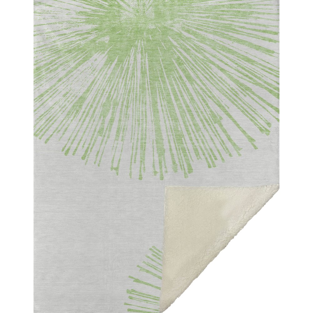 Premium Machine Washable ASB642 Aloe 50" x 70" Sherpa Throw Blanket. Picture 1
