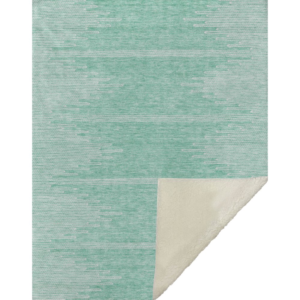 Premium Machine Washable ASB647 Teal 50" x 70" Sherpa Throw Blanket. Picture 1
