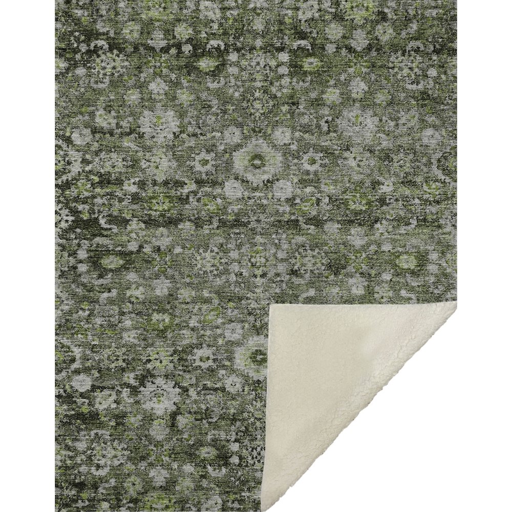 Premium Machine Washable ASB651 Green 50" x 70" Sherpa Throw Blanket. Picture 1