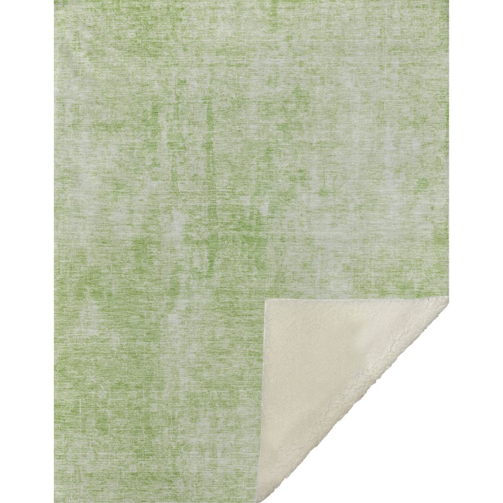 Premium Machine Washable ASB656 Aloe 50" x 70" Sherpa Throw Blanket. Picture 1
