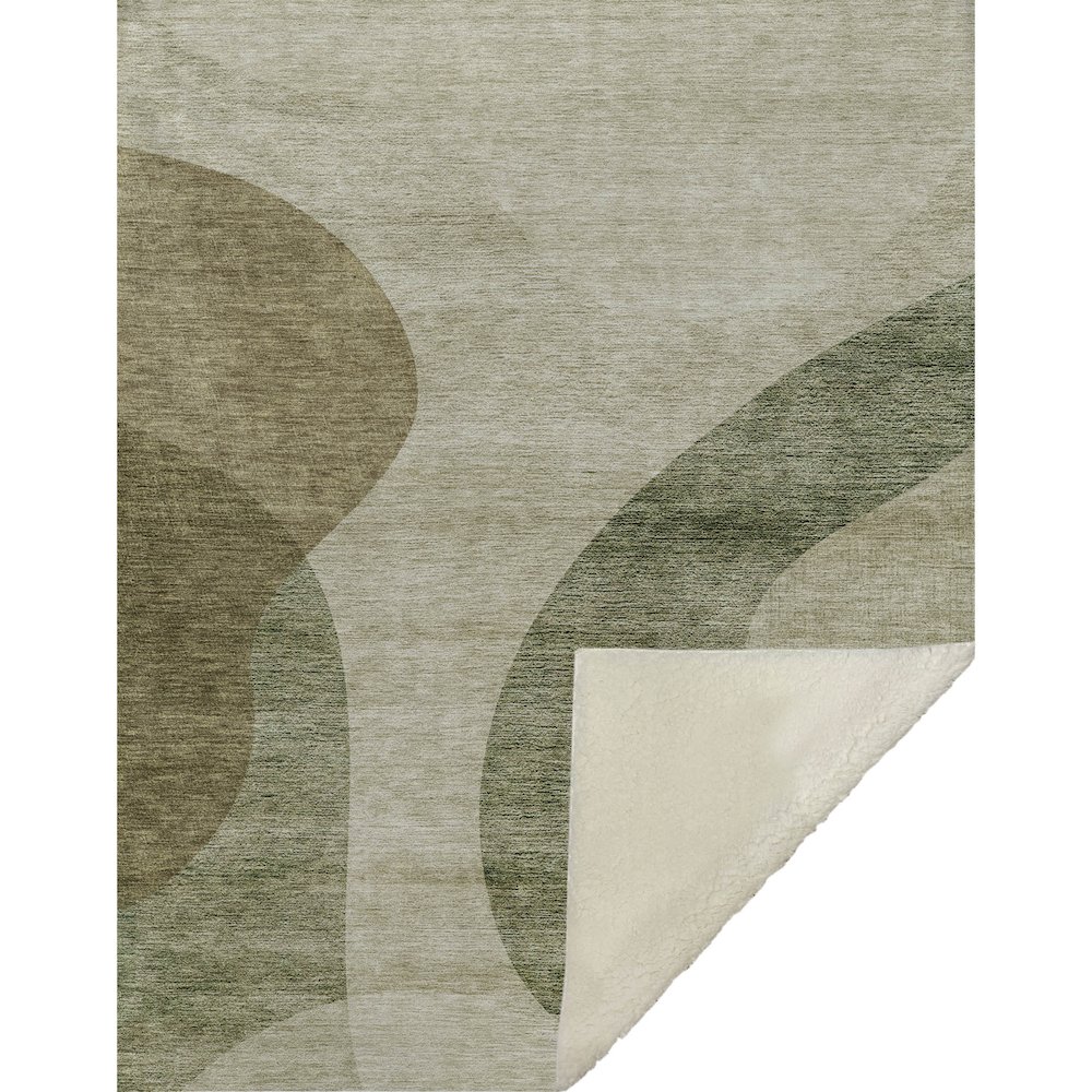 Premium Machine Washable ASB657 Beige 50" x 70" Sherpa Throw Blanket. Picture 1