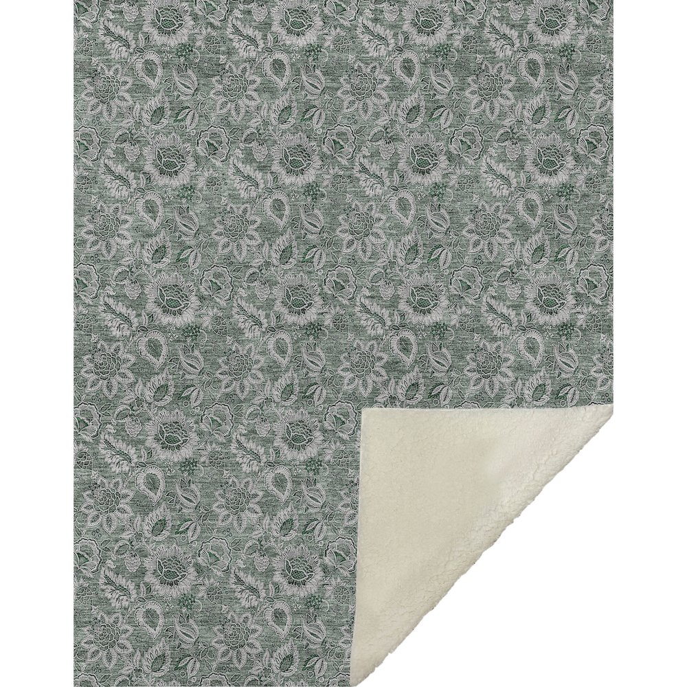 Premium Machine Washable ASB661 Sage 50" x 70" Sherpa Throw Blanket. Picture 1
