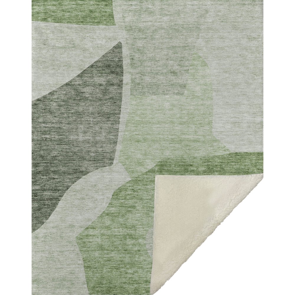 Premium Machine Washable ASB665 Aloe 50" x 70" Sherpa Throw Blanket. Picture 1