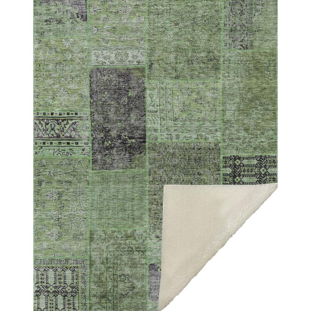 Premium Machine Washable ASB669 Green 50" x 70" Sherpa Throw Blanket. Picture 1