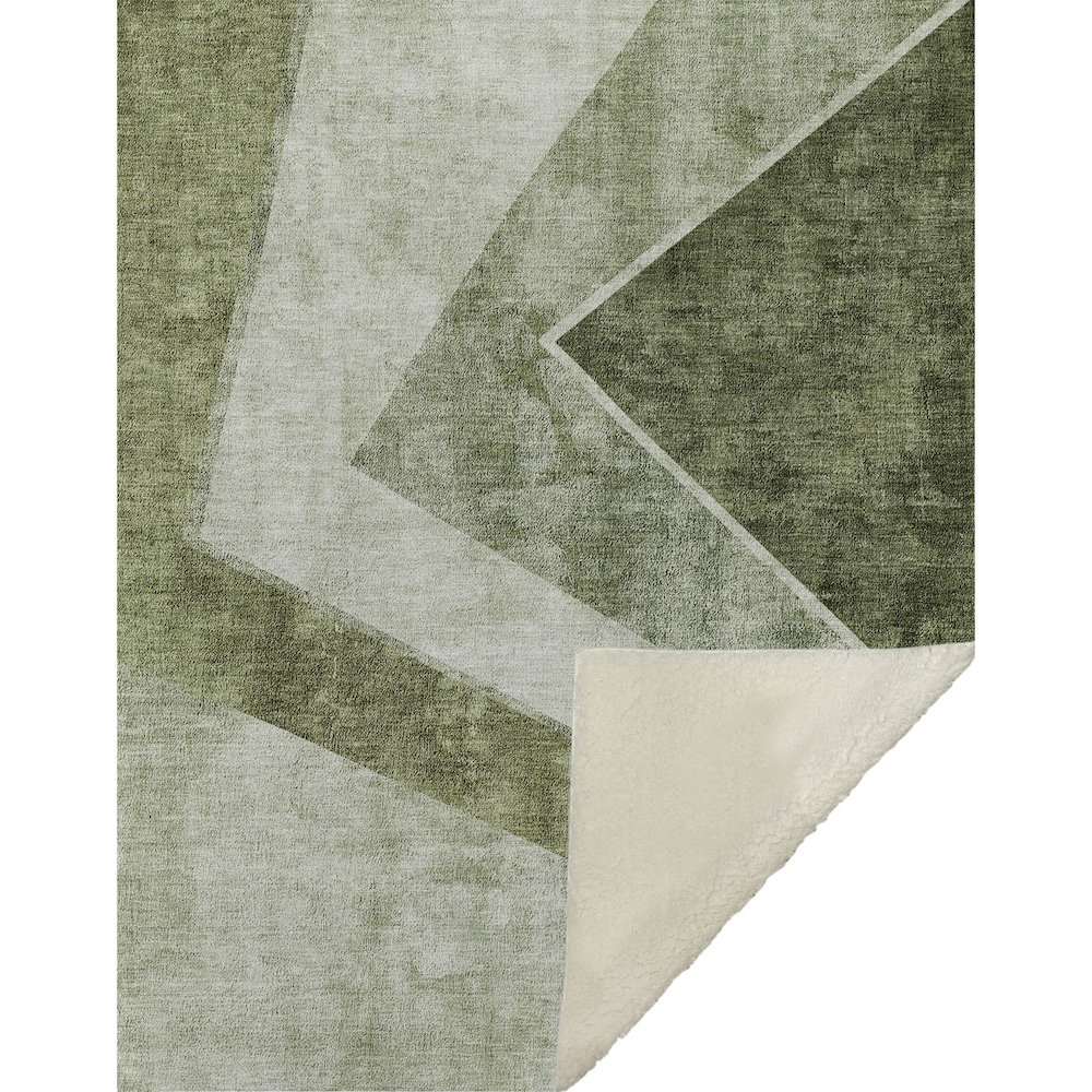 Premium Machine Washable ASB671 Olive 50" x 70" Sherpa Throw Blanket. Picture 1