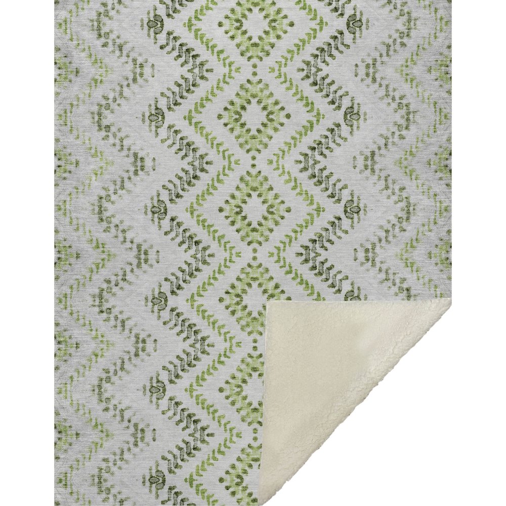 Premium Machine Washable ASB684 Aloe 50" x 70" Sherpa Throw Blanket. Picture 1