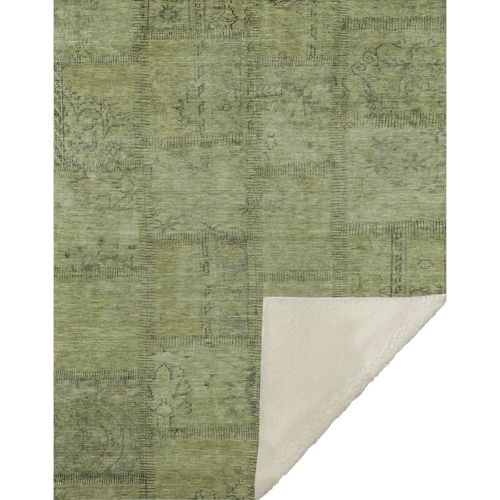 Premium Machine Washable ASB685 Fern 50" x 70" Sherpa Throw Blanket. Picture 1