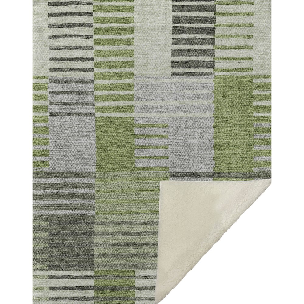 Premium Machine Washable ASB687 Green 50" x 70" Sherpa Throw Blanket. Picture 1