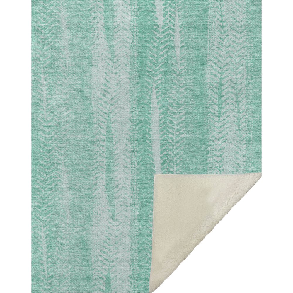 Premium Machine Washable ASB694 Aqua 50" x 70" Sherpa Throw Blanket. Picture 1