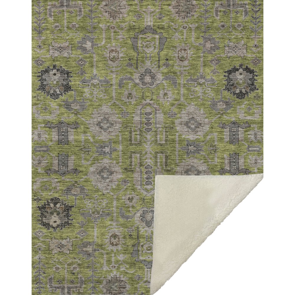 Premium Machine Washable ASB697 Olive 50" x 70" Sherpa Throw Blanket. Picture 1