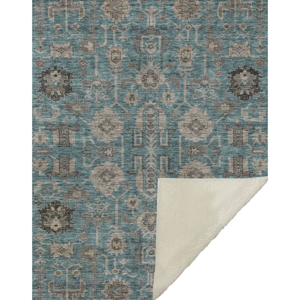 Premium Machine Washable ASB697 Teal 50" x 70" Sherpa Throw Blanket. Picture 1