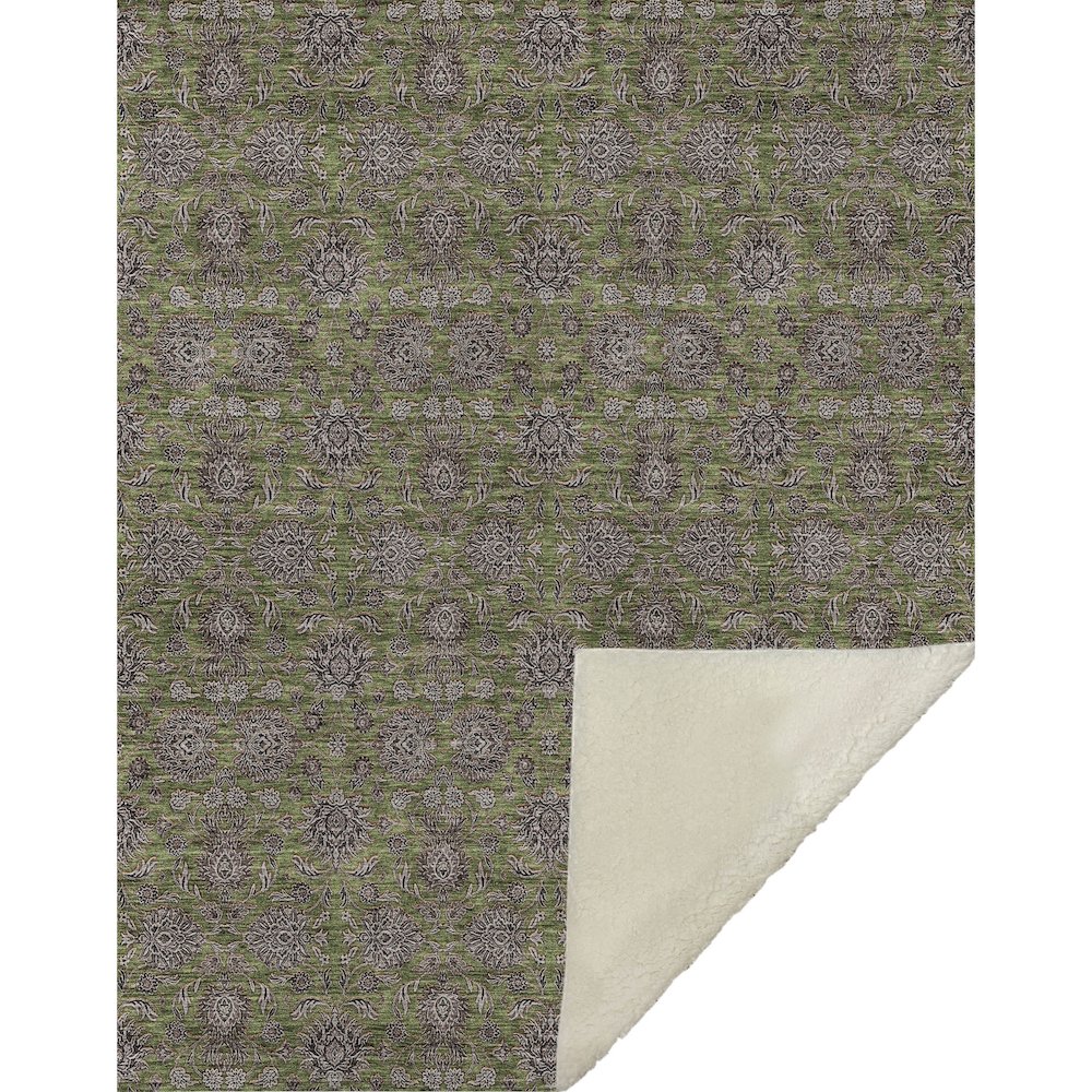 Premium Machine Washable ASB702 Olive 50" x 70" Sherpa Throw Blanket. Picture 1