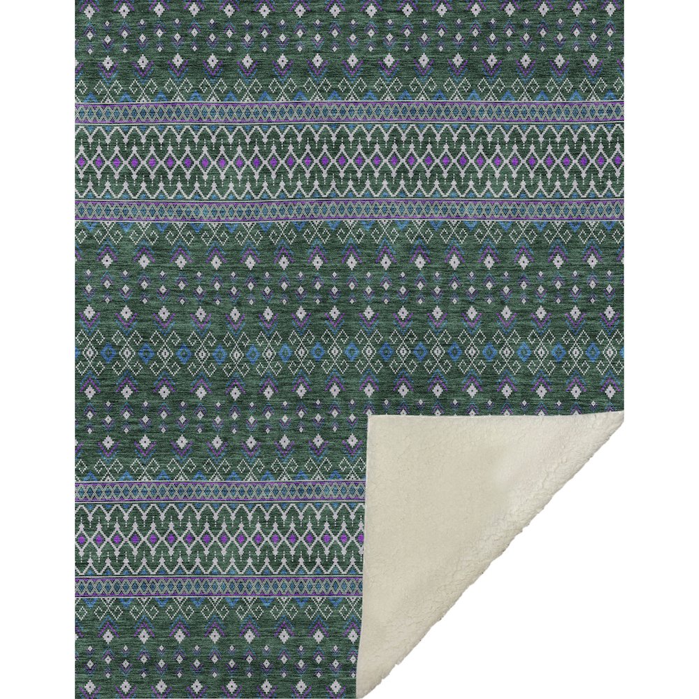 Premium Machine Washable ASB708 Green 50" x 70" Sherpa Throw Blanket. Picture 1