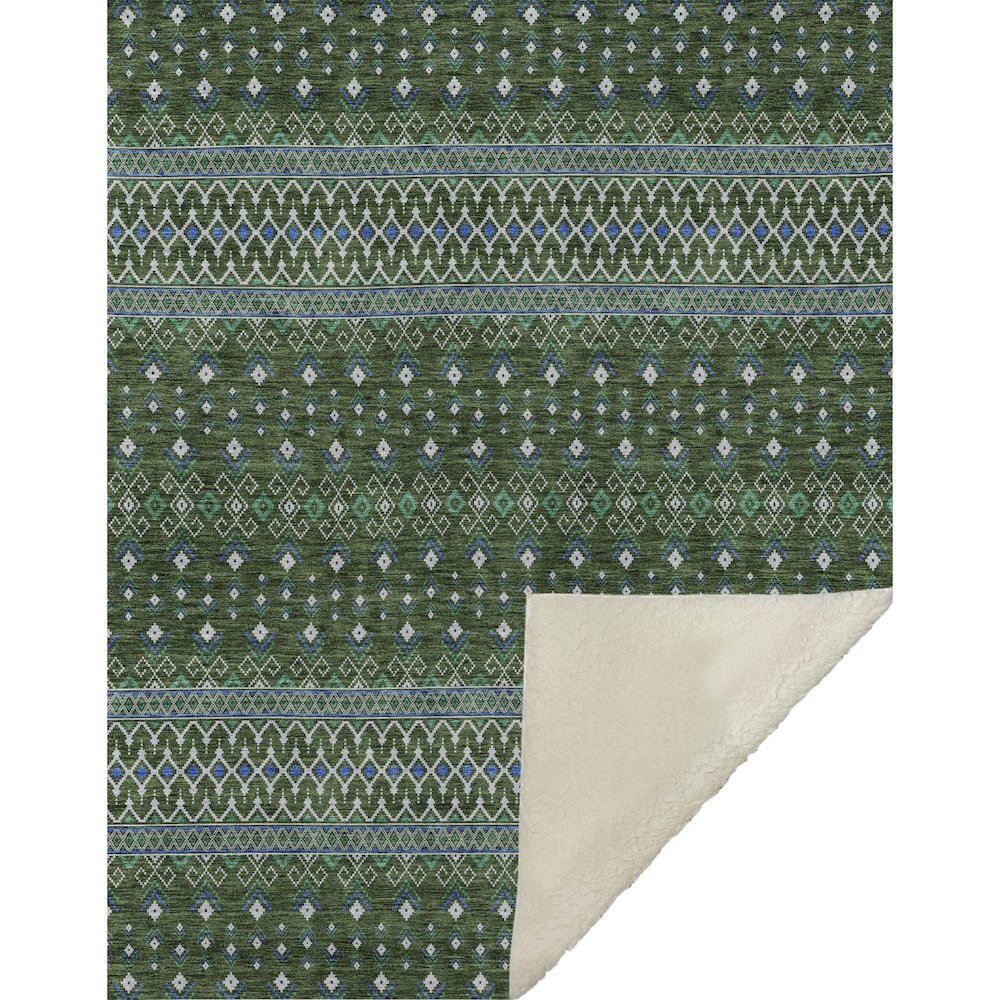 Premium Machine Washable ASB708 Olive 50" x 70" Sherpa Throw Blanket. Picture 1