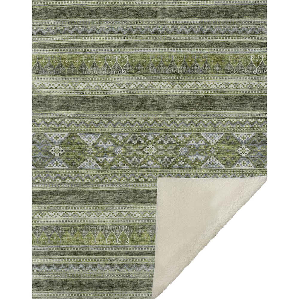 Premium Machine Washable ASB714 Olive 50" x 70" Sherpa Throw Blanket. Picture 1