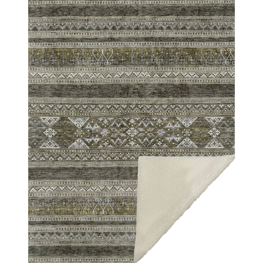Premium Machine Washable ASB714 Taupe 50" x 70" Sherpa Throw Blanket. Picture 1