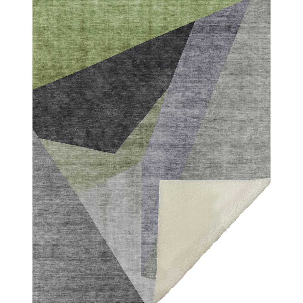 Premium Machine Washable ASB716 Sage 50" x 70" Sherpa Throw Blanket. Picture 1
