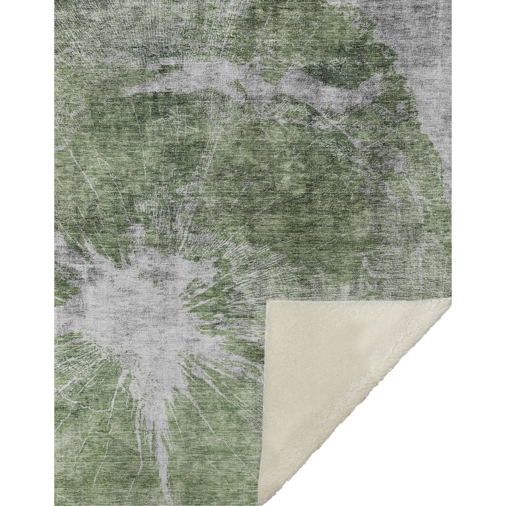 Premium Machine Washable ASB719 Aloe 50" x 70" Sherpa Throw Blanket. Picture 1
