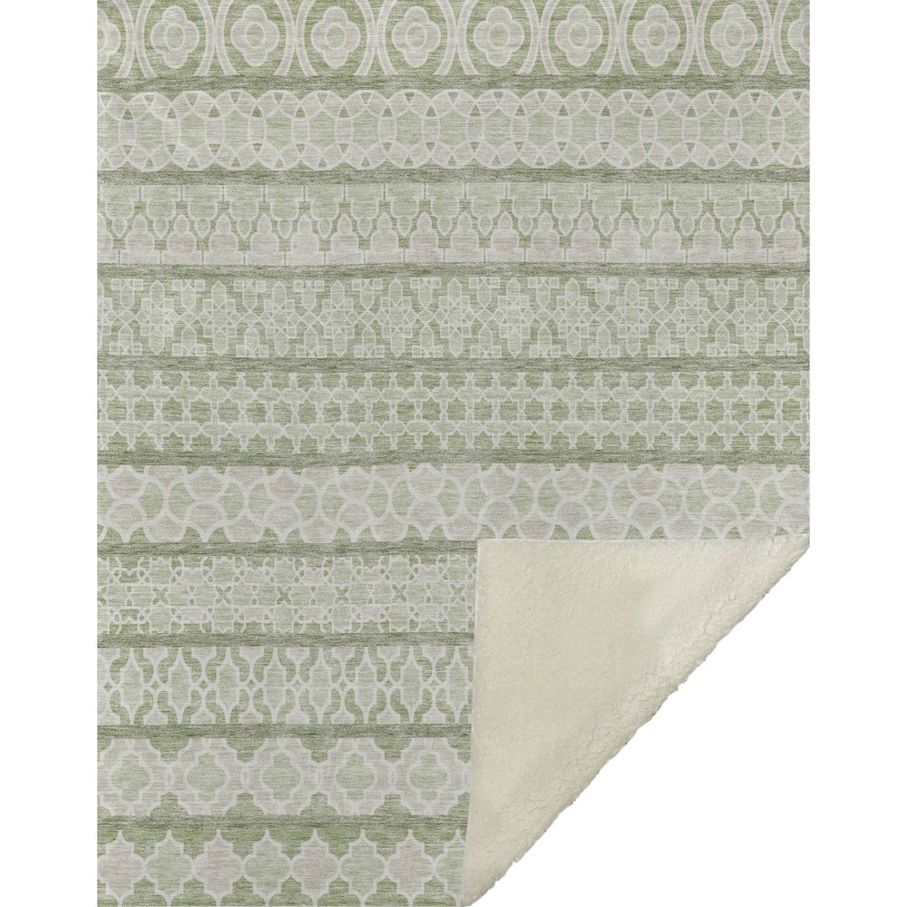 Premium Machine Washable ASB726 Aloe 50" x 70" Sherpa Throw Blanket. Picture 1