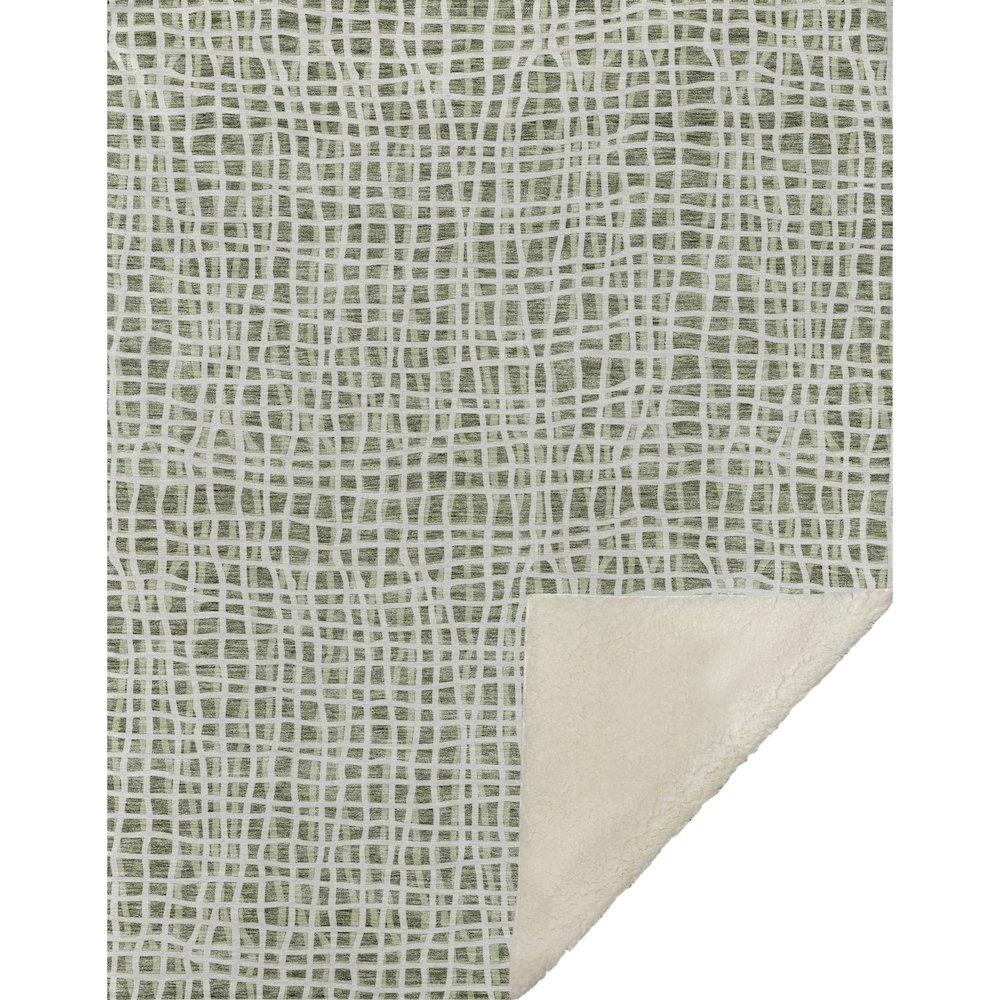 Premium Machine Washable ASB729 Green 50" x 70" Sherpa Throw Blanket. Picture 1