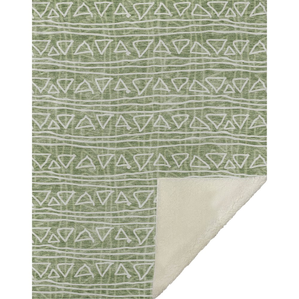 Premium Machine Washable ASB730 Green 50" x 70" Sherpa Throw Blanket. Picture 1