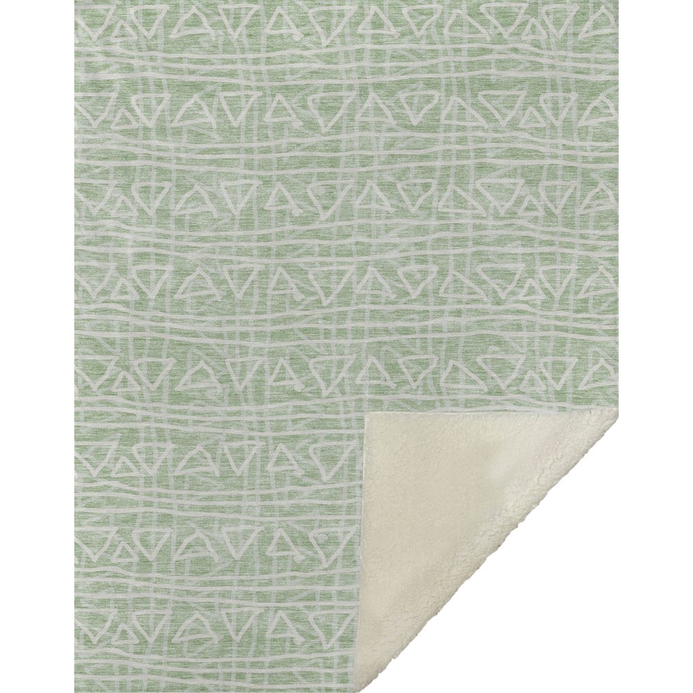 Premium Machine Washable ASB730 Mint 50" x 70" Sherpa Throw Blanket. Picture 1