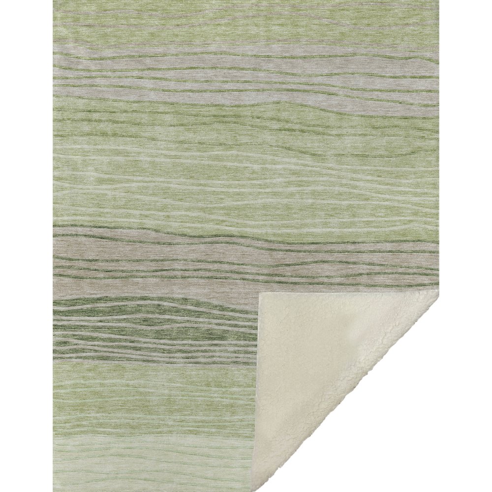 Premium Machine Washable ASB735 Aloe 50" x 70" Sherpa Throw Blanket. Picture 1