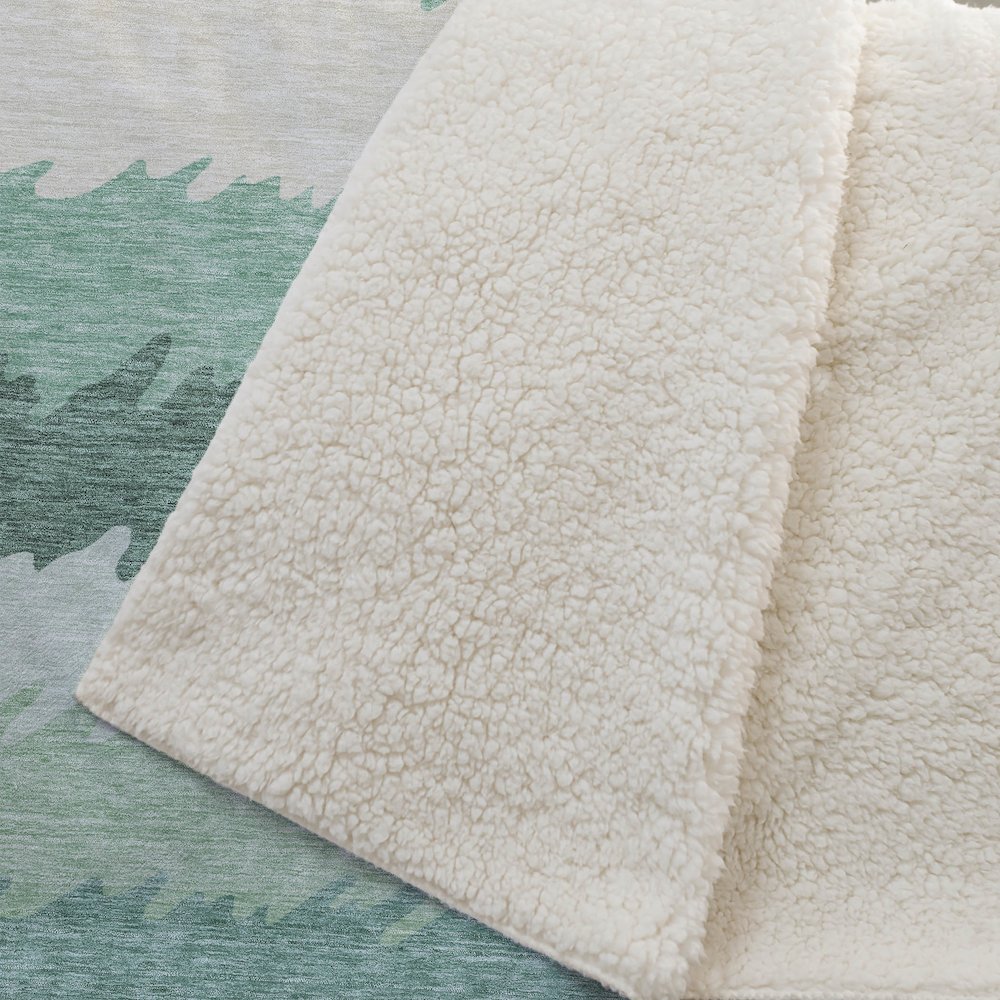 Premium Machine Washable ASB736 Sage 50" x 70" Sherpa Throw Blanket. Picture 2