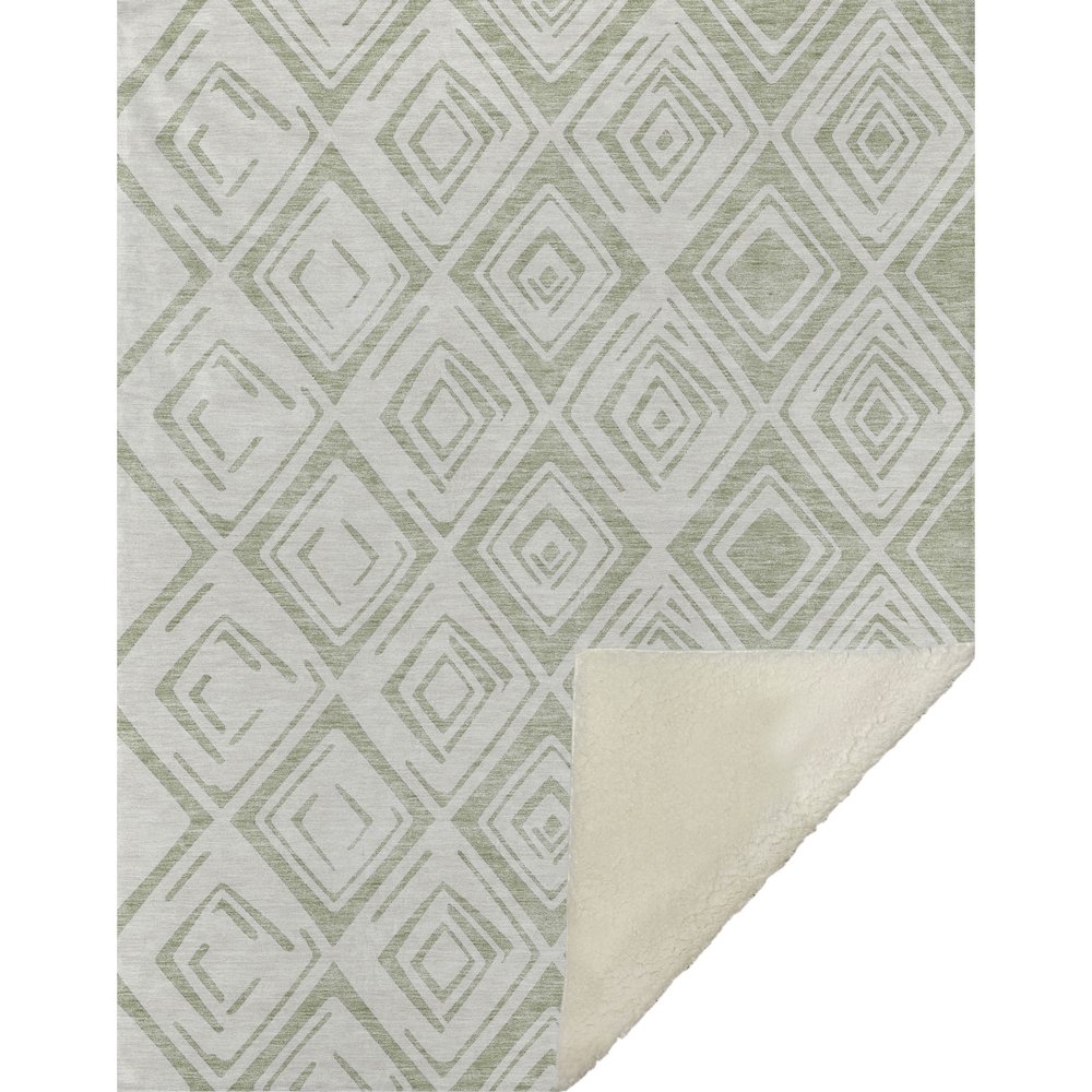 Premium Machine Washable ASB737 Aloe 50" x 70" Sherpa Throw Blanket. Picture 1