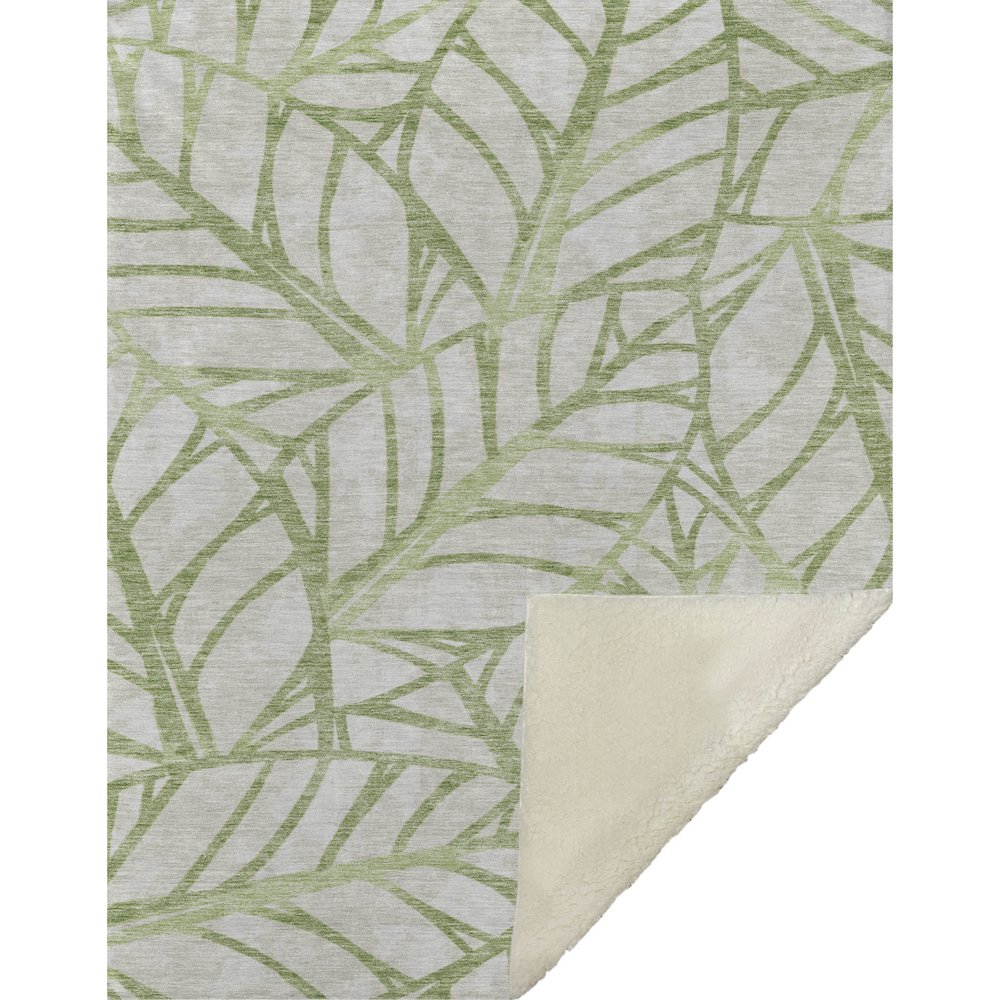 Premium Machine Washable ASB741 Aloe 50" x 70" Sherpa Throw Blanket. Picture 1