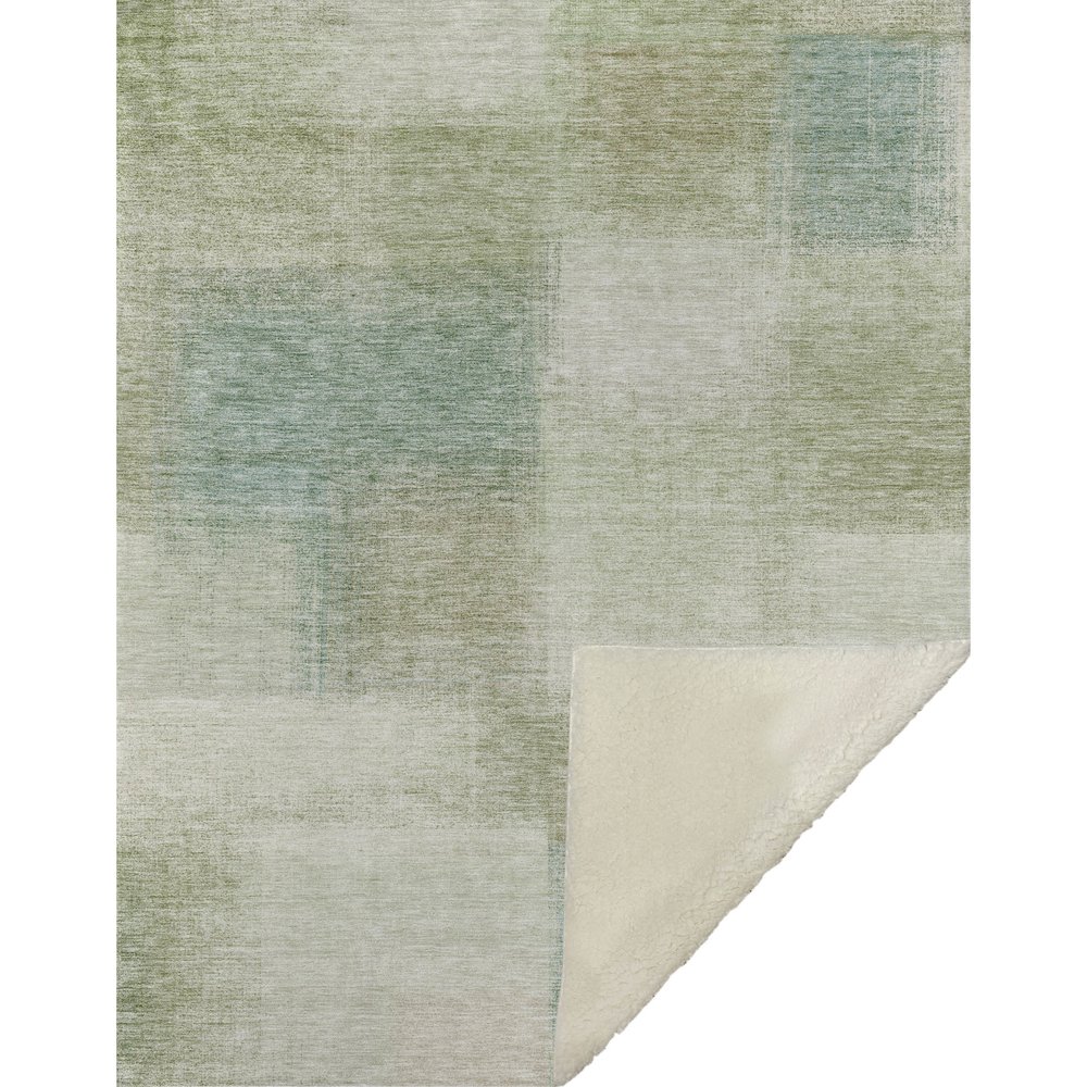 Premium Machine Washable ASB742 Aloe 50" x 70" Sherpa Throw Blanket. Picture 1