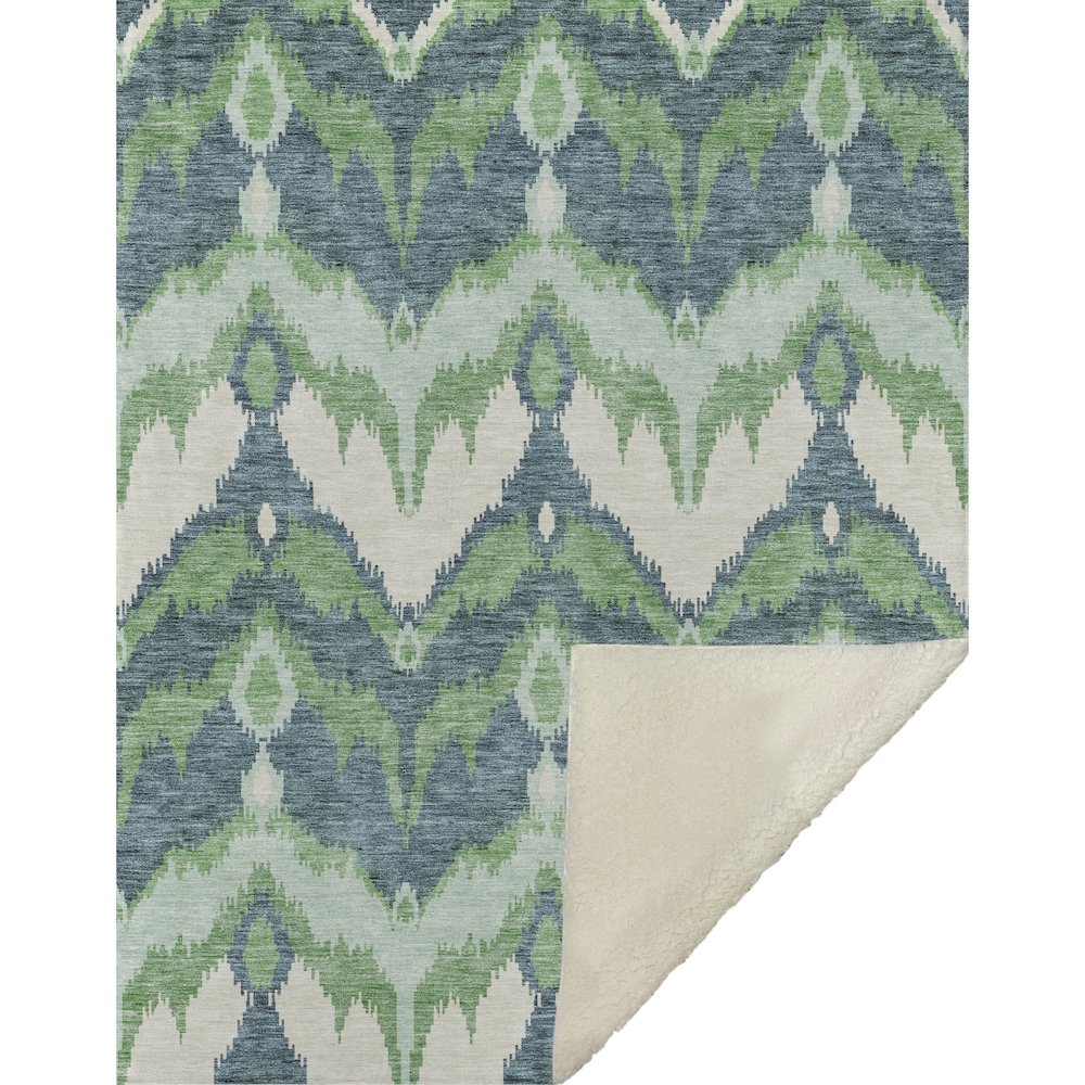 Premium Machine Washable ASB743 Green 50" x 70" Sherpa Throw Blanket. Picture 1