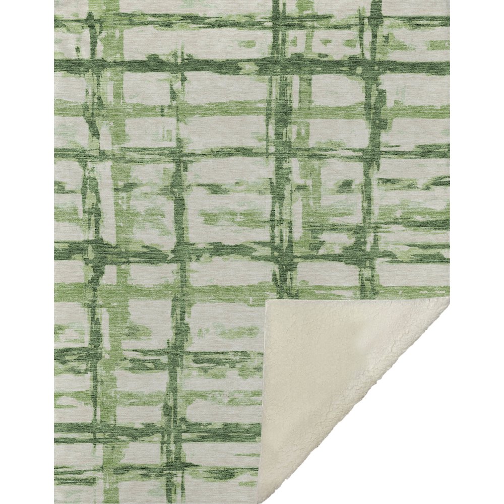 Premium Machine Washable ASB745 Green 50" x 70" Sherpa Throw Blanket. Picture 1