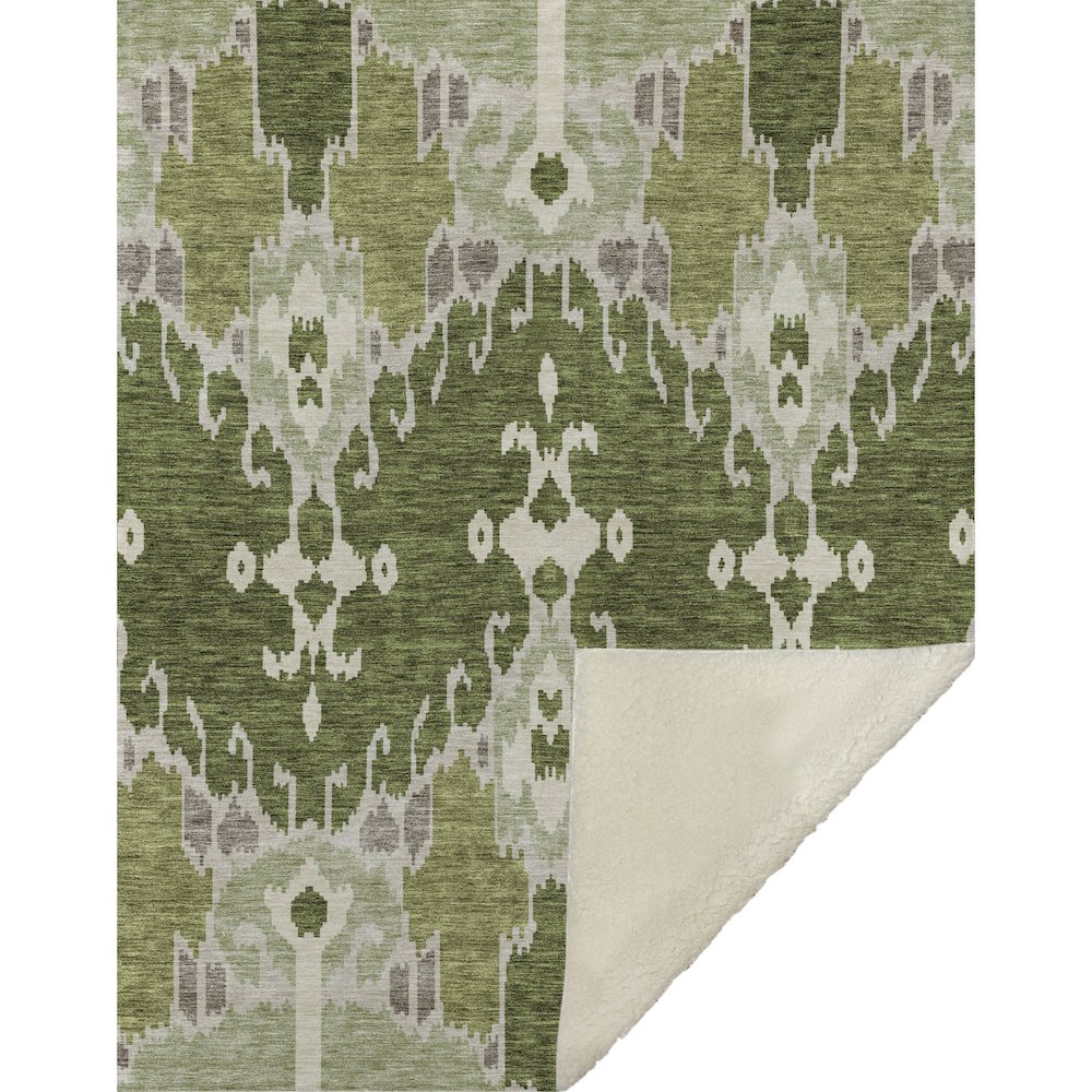 Premium Machine Washable ASB748 Olive 50" x 70" Sherpa Throw Blanket. Picture 1