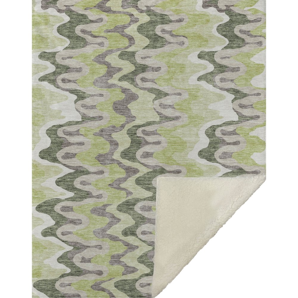 Premium Machine Washable ASB750 Aloe 50" x 70" Sherpa Throw Blanket. Picture 1