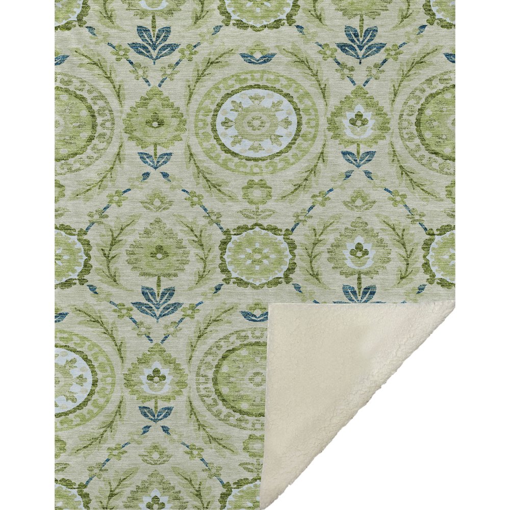 Premium Machine Washable ASB751 Aloe 50" x 70" Sherpa Throw Blanket. Picture 1