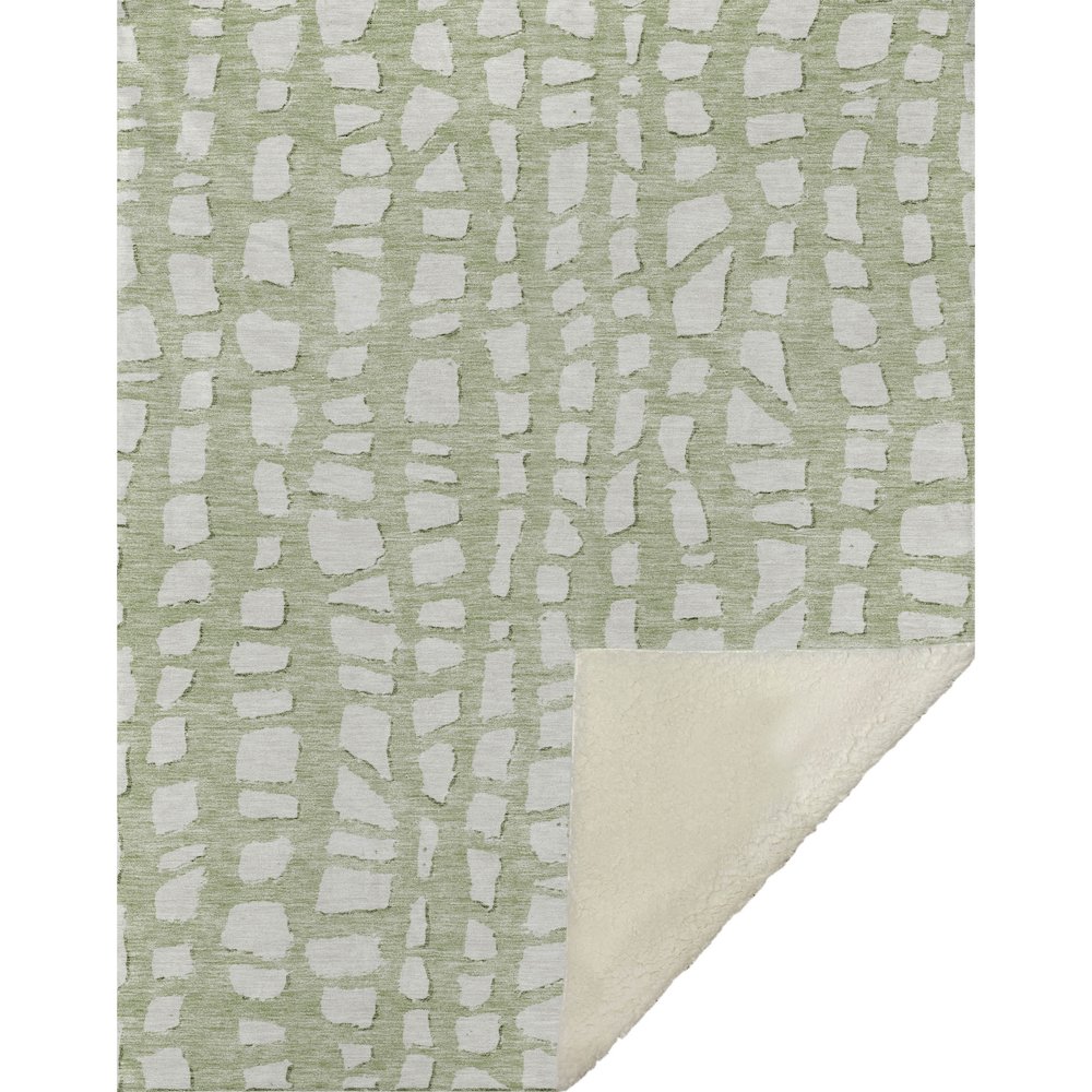 Premium Machine Washable ASB754 Aloe 50" x 70" Sherpa Throw Blanket. Picture 1