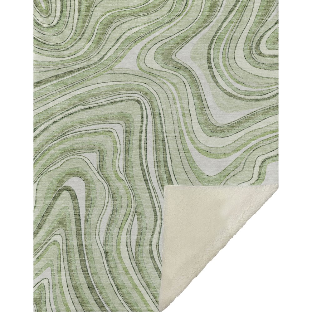 Premium Machine Washable ASB756 Aloe 50" x 70" Sherpa Throw Blanket. Picture 1