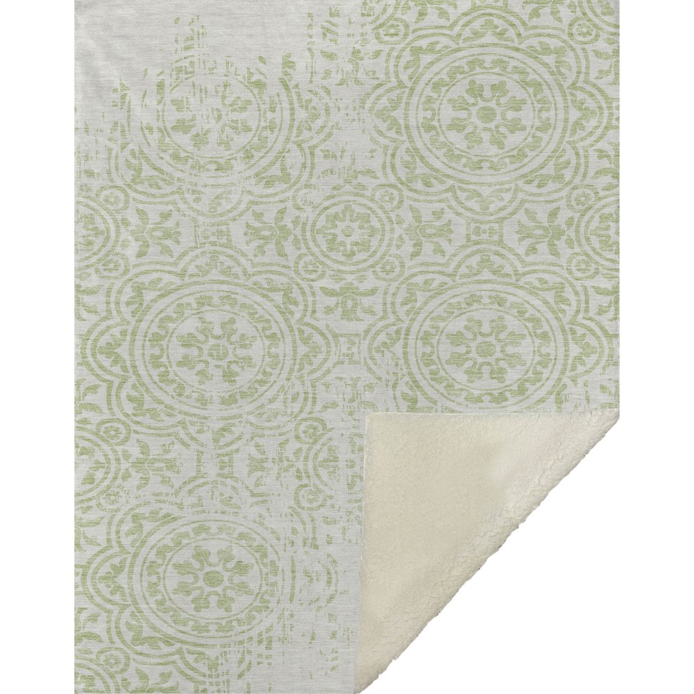 Premium Machine Washable ASB758 Aloe 50" x 70" Sherpa Throw Blanket. Picture 1
