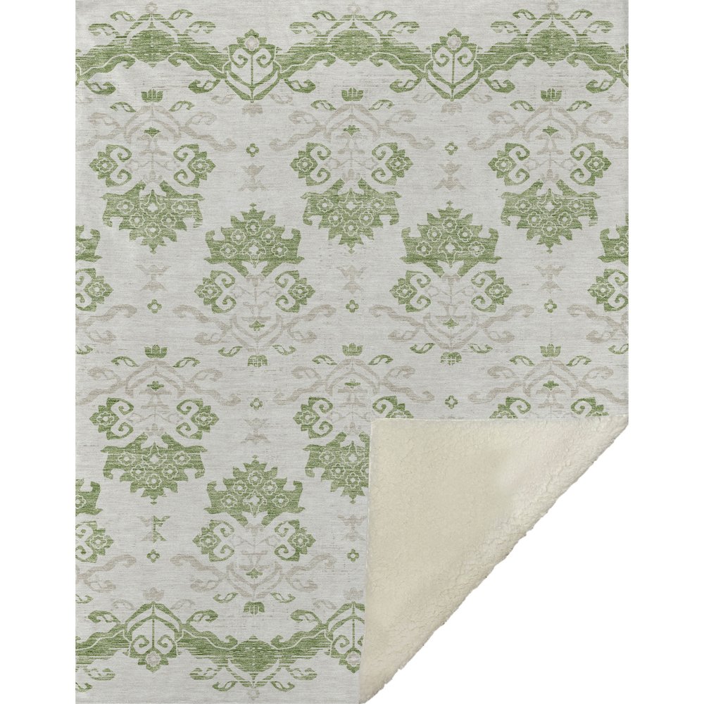 Premium Machine Washable ASB759 Green 50" x 70" Sherpa Throw Blanket. Picture 1