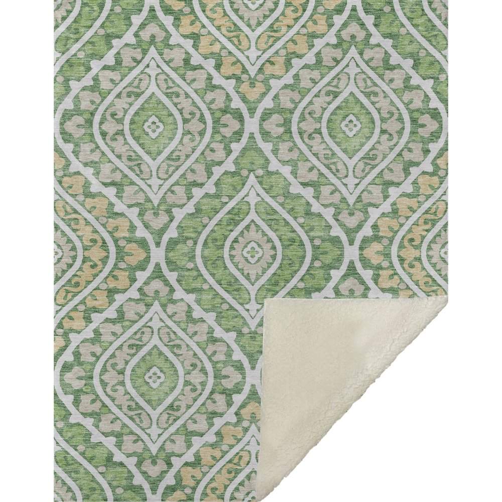 Premium Machine Washable ASB761 Green 50" x 70" Sherpa Throw Blanket. Picture 1
