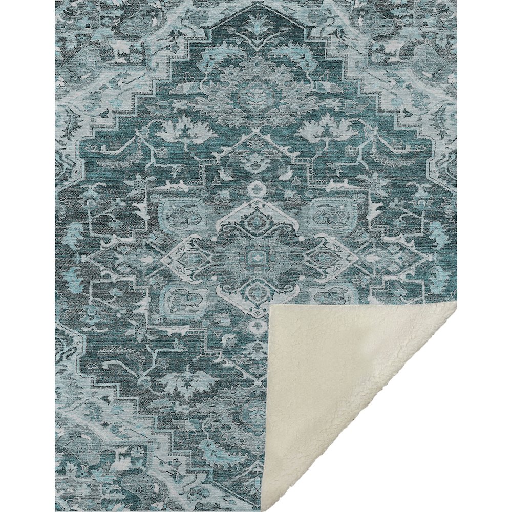 Premium Machine Washable ASB774 Teal 50" x 70" Sherpa Throw Blanket. Picture 1
