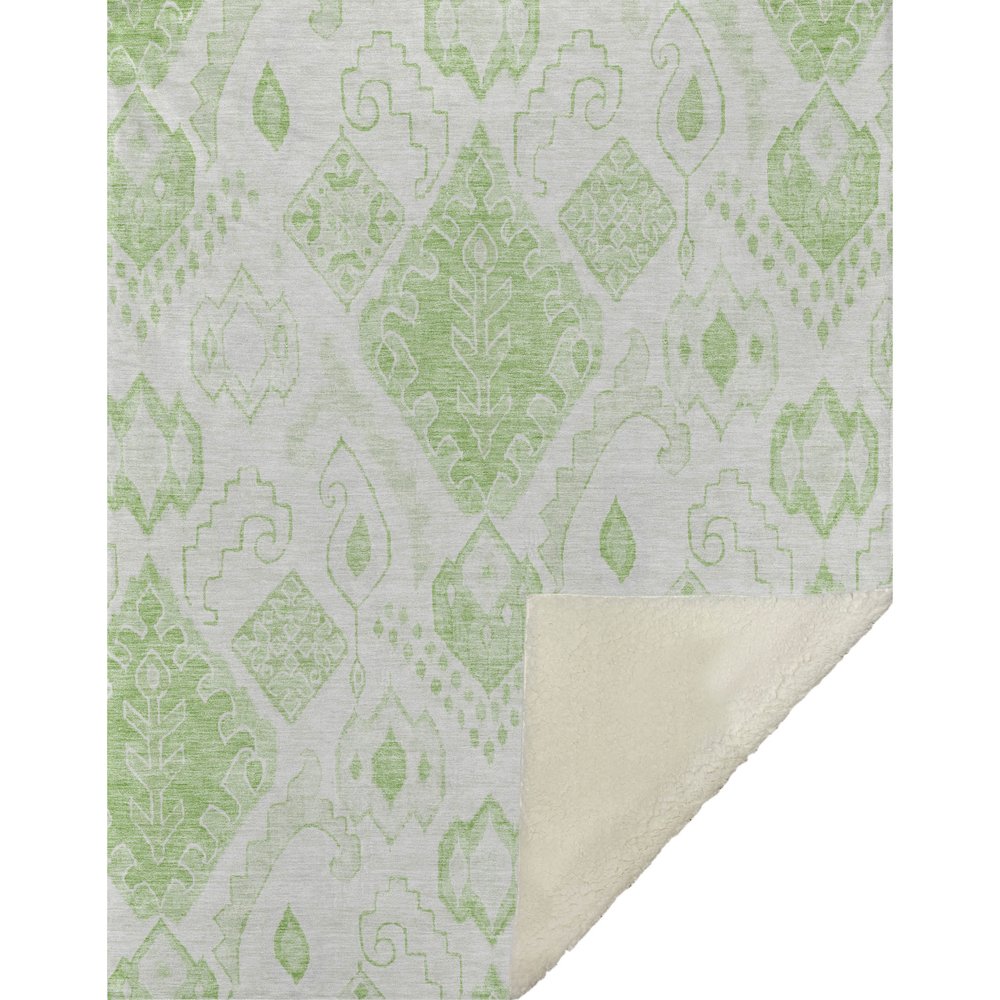 Premium Machine Washable ASB776 Aloe 50" x 70" Sherpa Throw Blanket. Picture 1