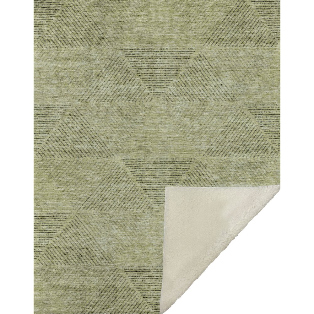 Premium Machine Washable ASB777 Aloe 50" x 70" Sherpa Throw Blanket. Picture 1