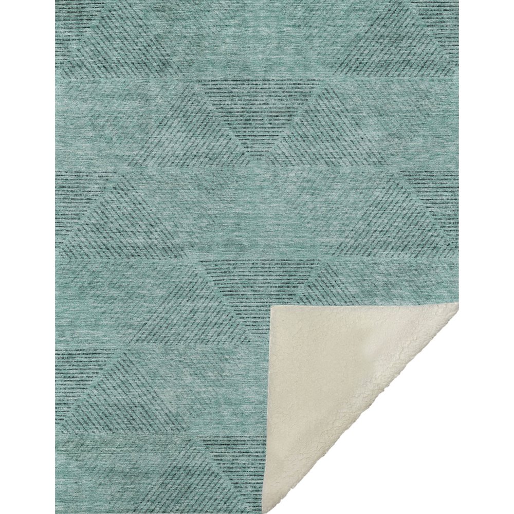Premium Machine Washable ASB777 Teal 50" x 70" Sherpa Throw Blanket. Picture 1