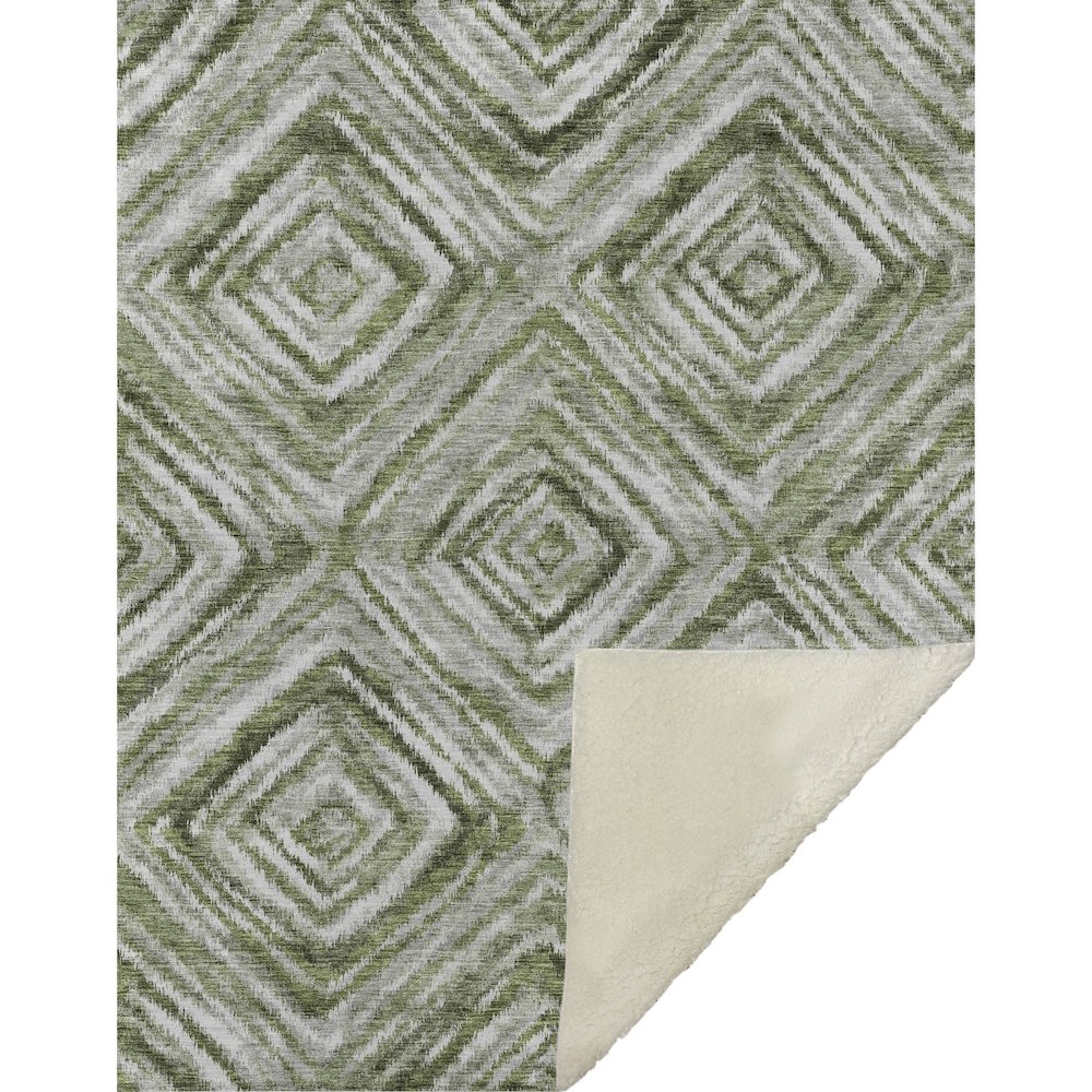 Premium Machine Washable ASB781 Aloe 50" x 70" Sherpa Throw Blanket. Picture 1